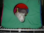 Stu! in a cube